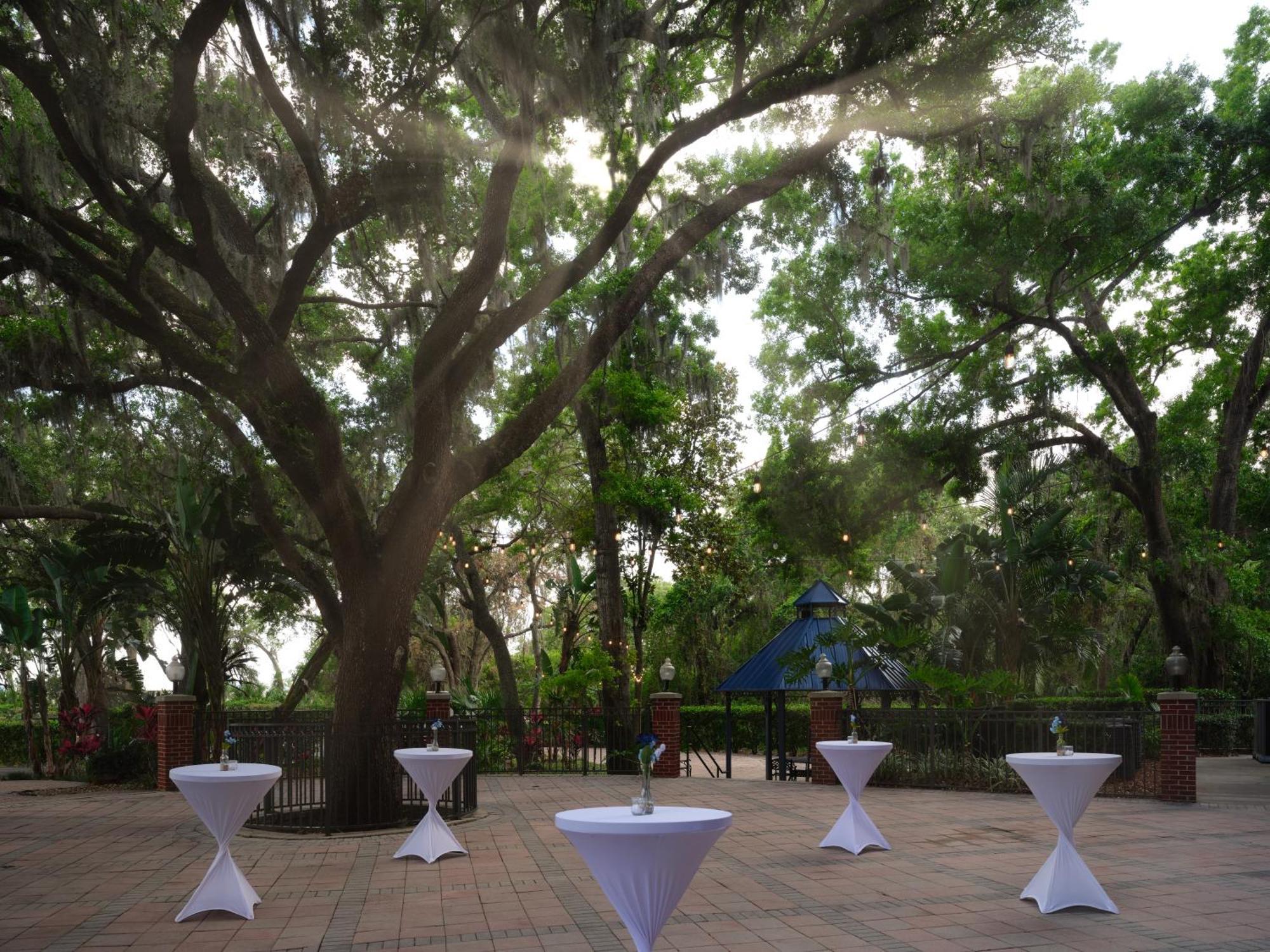 Hilton Garden Inn Tampa East Brandon Mango Exterior foto